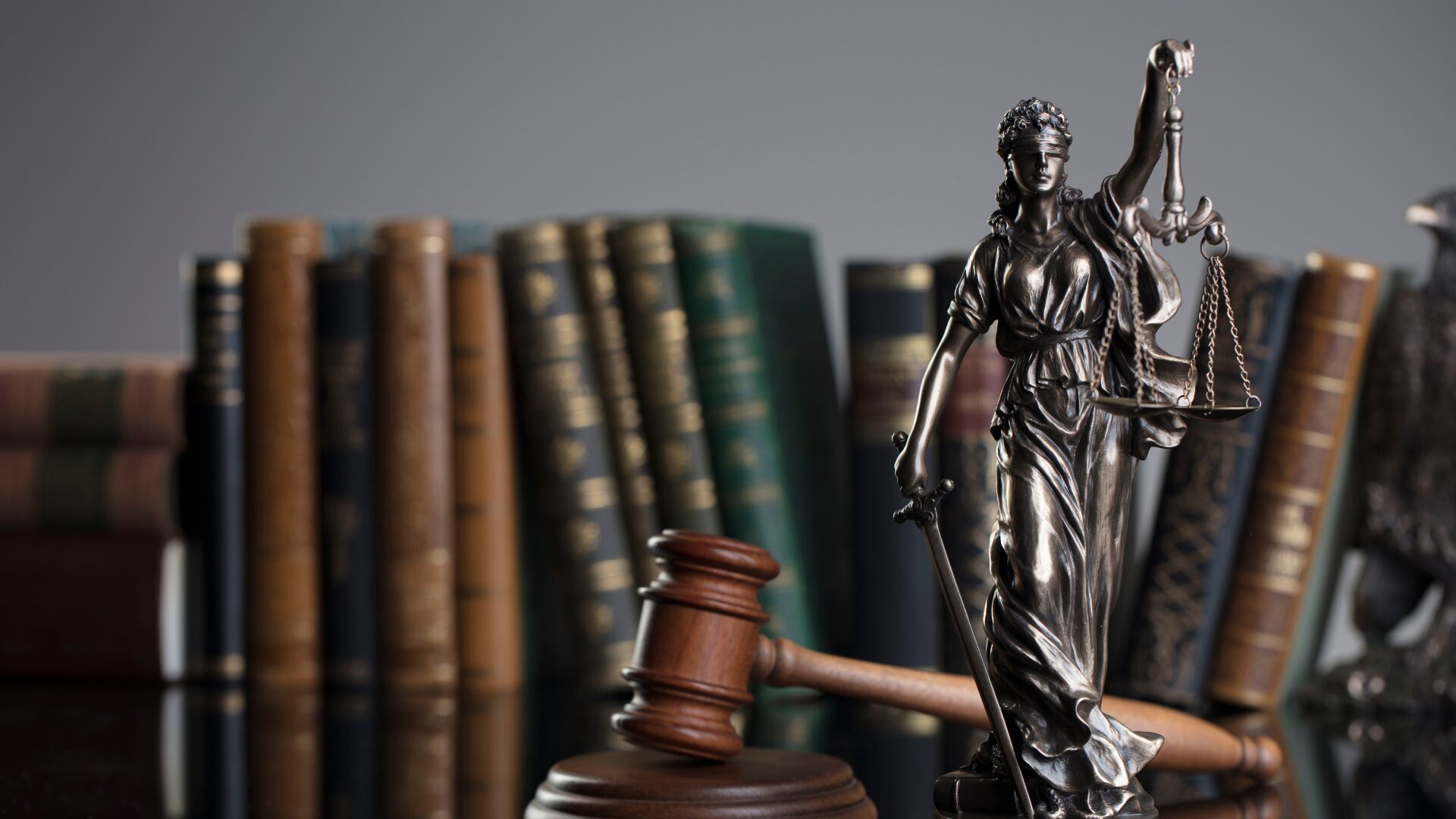 Legal Consultations Civil & Criminal Litigation
